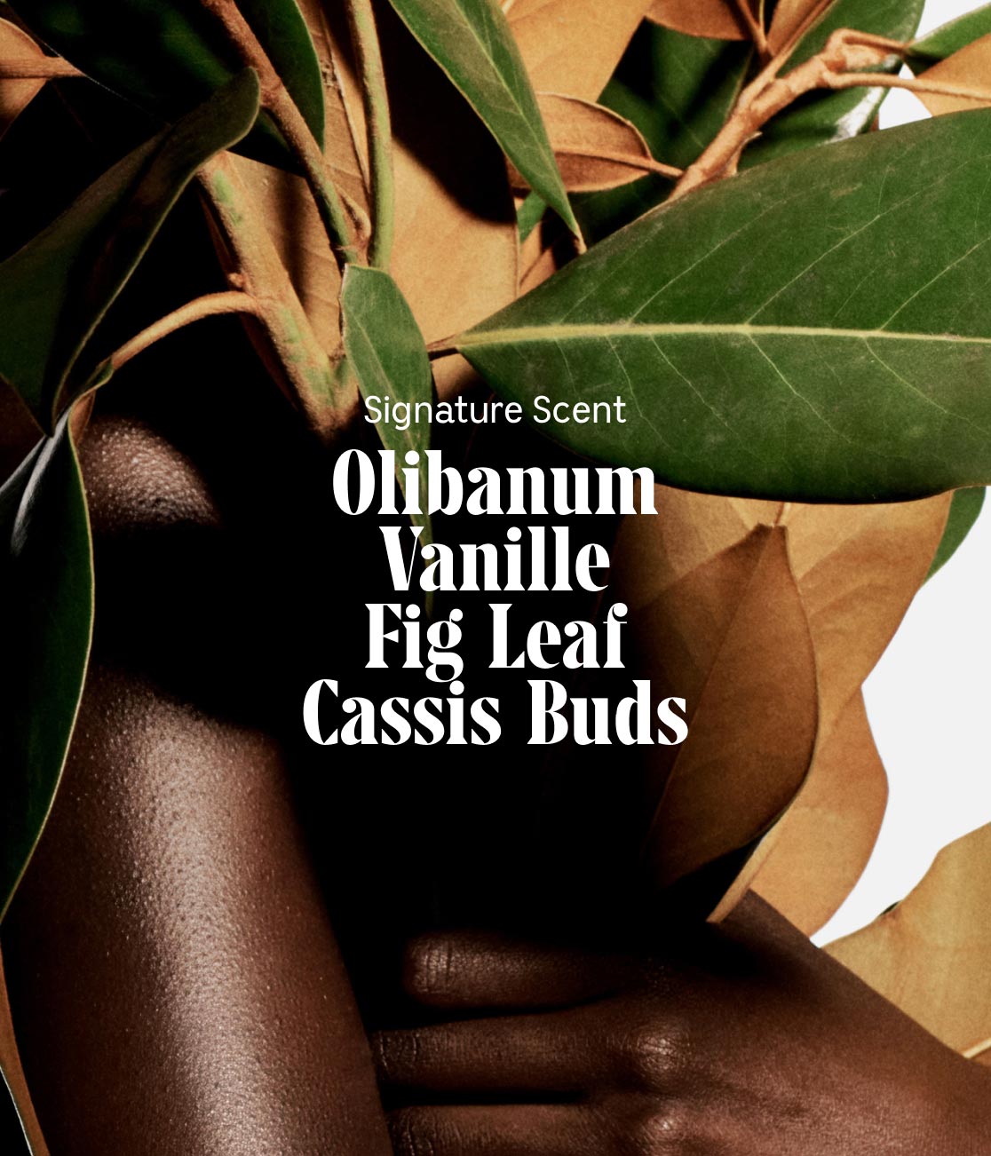 Zoom in on The Body Lotion 450 ml | Multi-Vitamin Olibanum - Photo 4